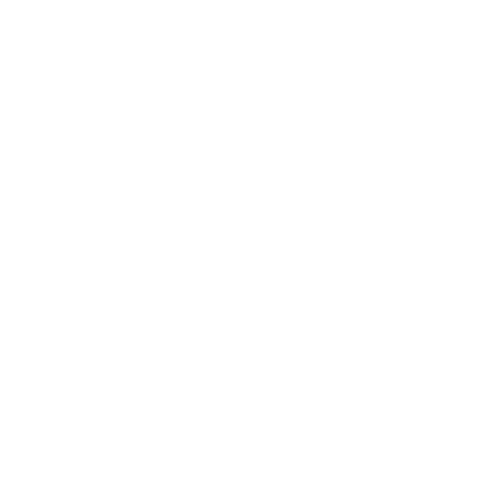 heidi skolnik logo white